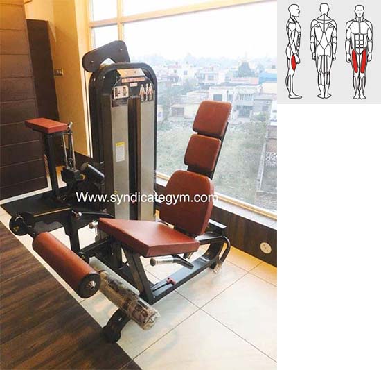 Leg curl and Leg Extension Machine Combo, Leg Extensions, Leg Curl Machines manufacturer in India