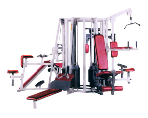 Syndicate Eight station multigym manufacturer in india