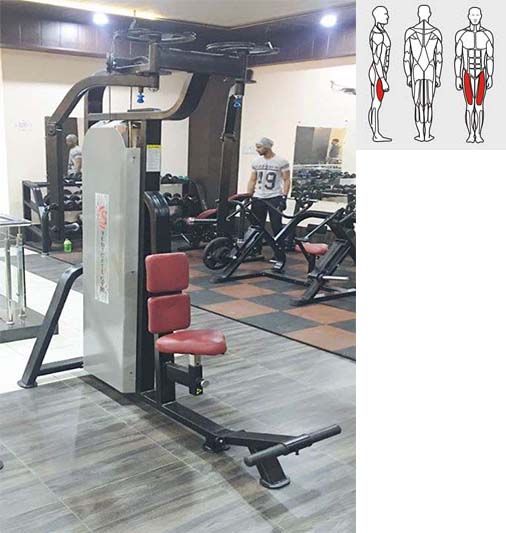 Supplier of Pec Deck / Rear Delt Machine. Buy Pec Deck / Rear Delt at Best prices in India