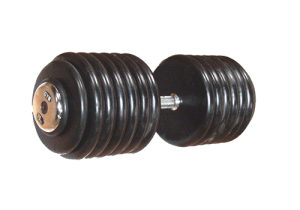 Plate Type Rubber Coated Dumbbell in India