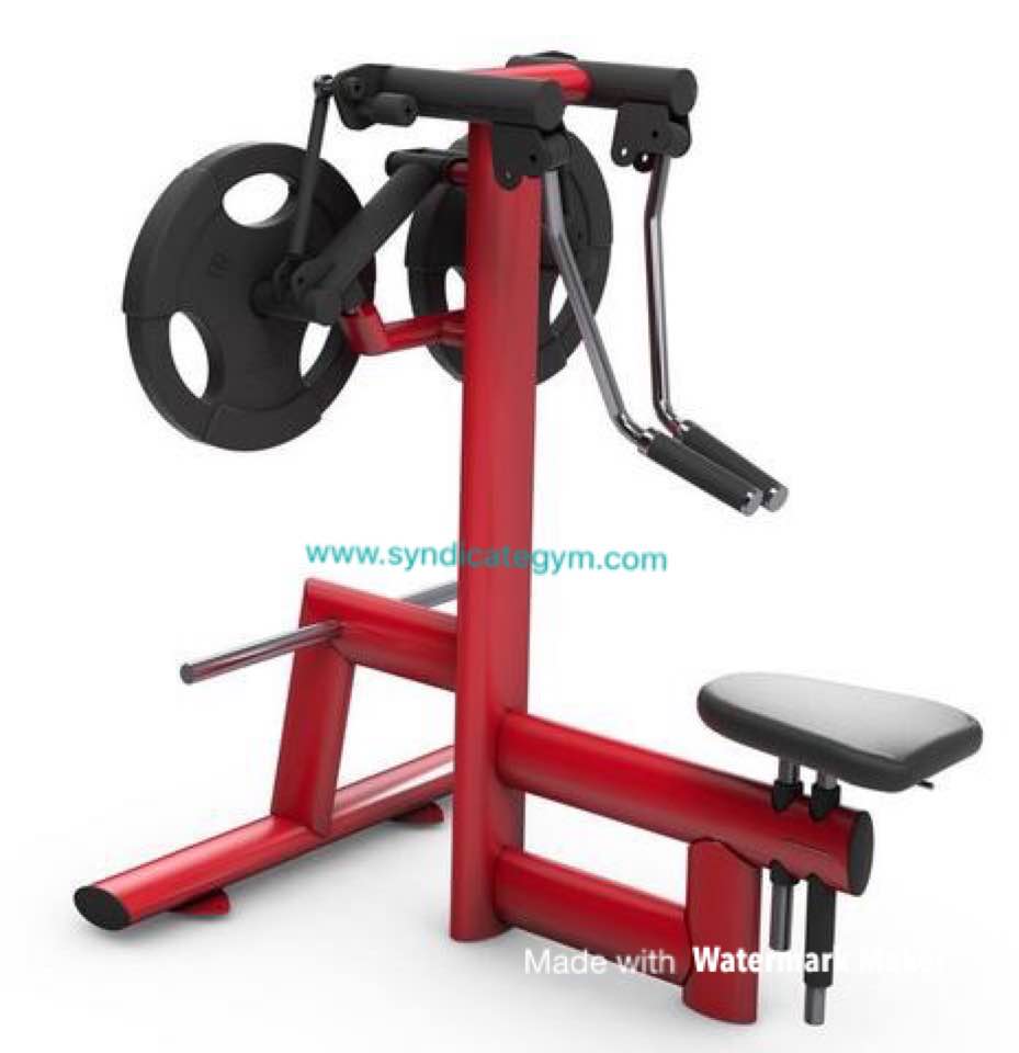 DEADLIFT/SHRUG PLATE LOADED manufacturer in india